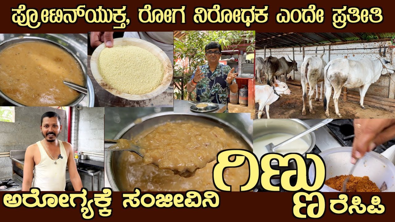 ಗಿಣ್ಣ GINNA Rarest recipe of a Healthy Milk dish by Halli Hatti Chandranna Own farm cow milk #ginna