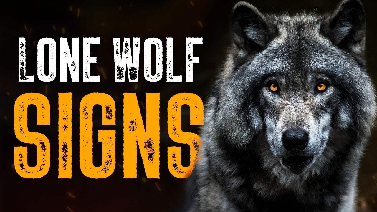 10 Obvious Signs You're a Lone Wolf