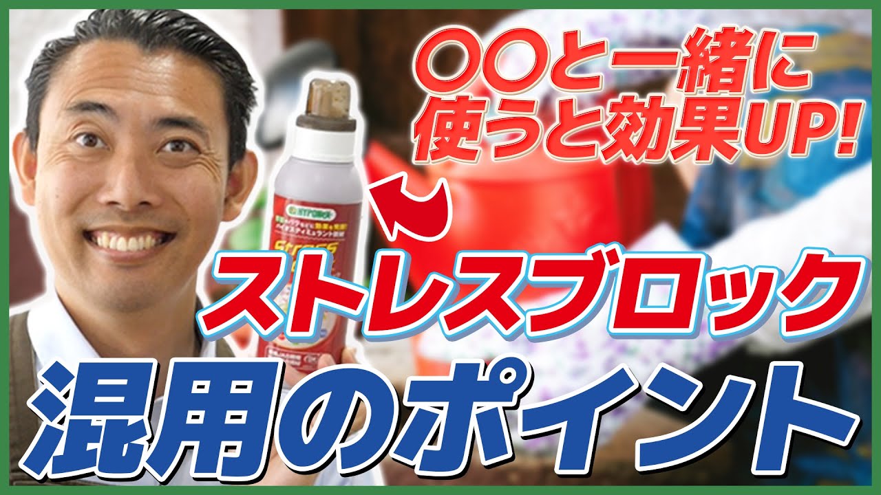 【園芸の基本】ストレスブロックを混用する時のポイントを徹底解説！〜アレと一緒に使うと効果がUP！
