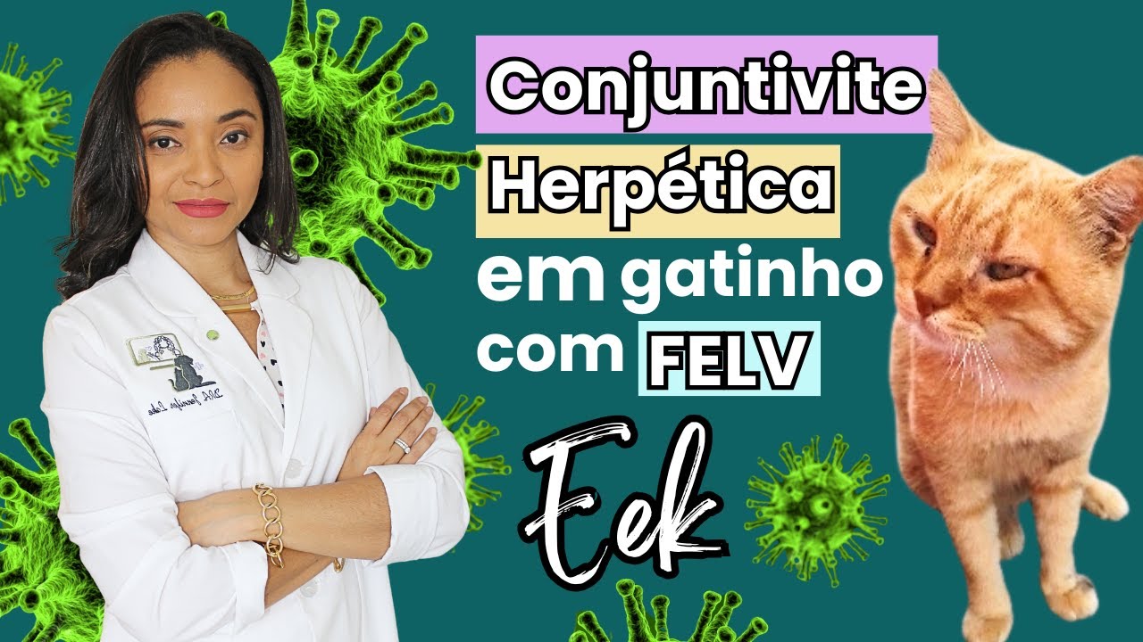 #CONJUTIVITE HERPÉTICA EM #GATINHO COM #FELV. CASO - EEK