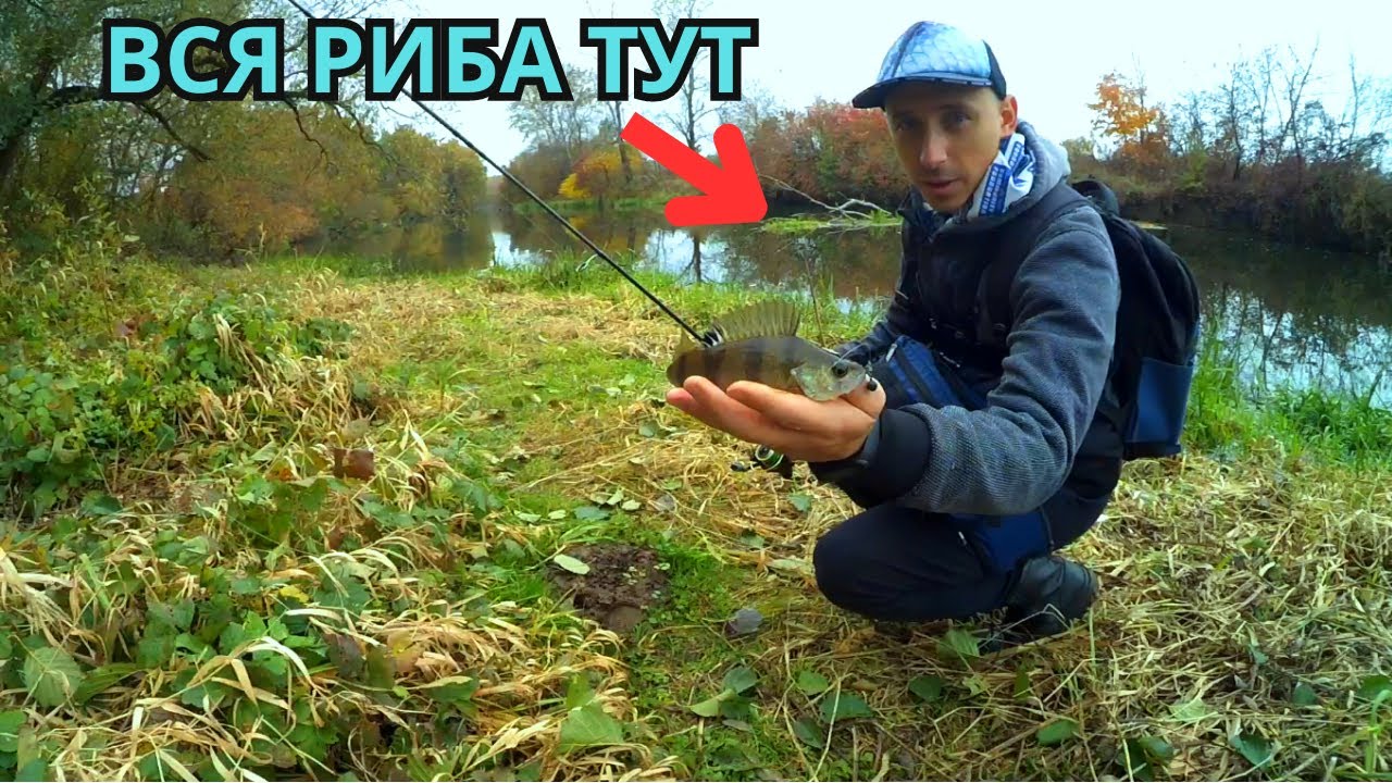 Рибалка на р.Горинь поблизу с. Ходоси. Остання рибака ЖУЖИ!!!