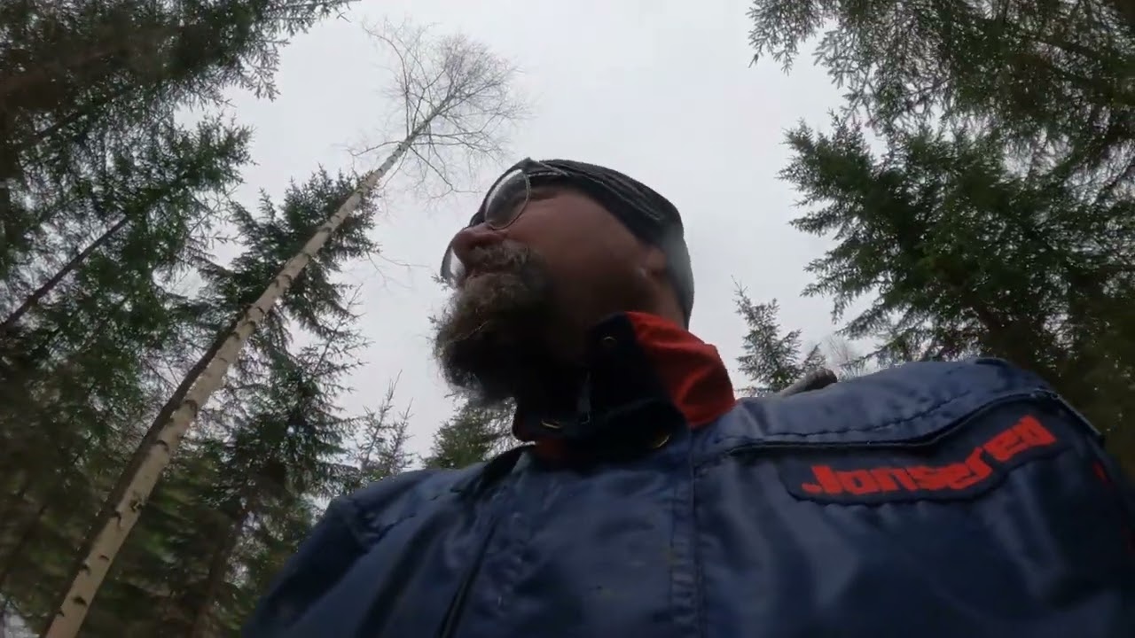 Rankamettässä. Apuna Palms 5.85+Nisula 175 E+ 705+Stihl 211