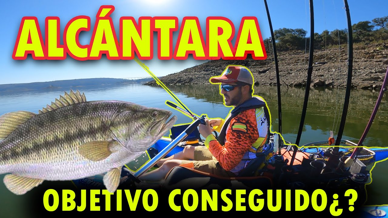 🎣🤞 Black Bass en Alcántara - ¿Lograremos el OBJETIVO? Manga Club Pesca
