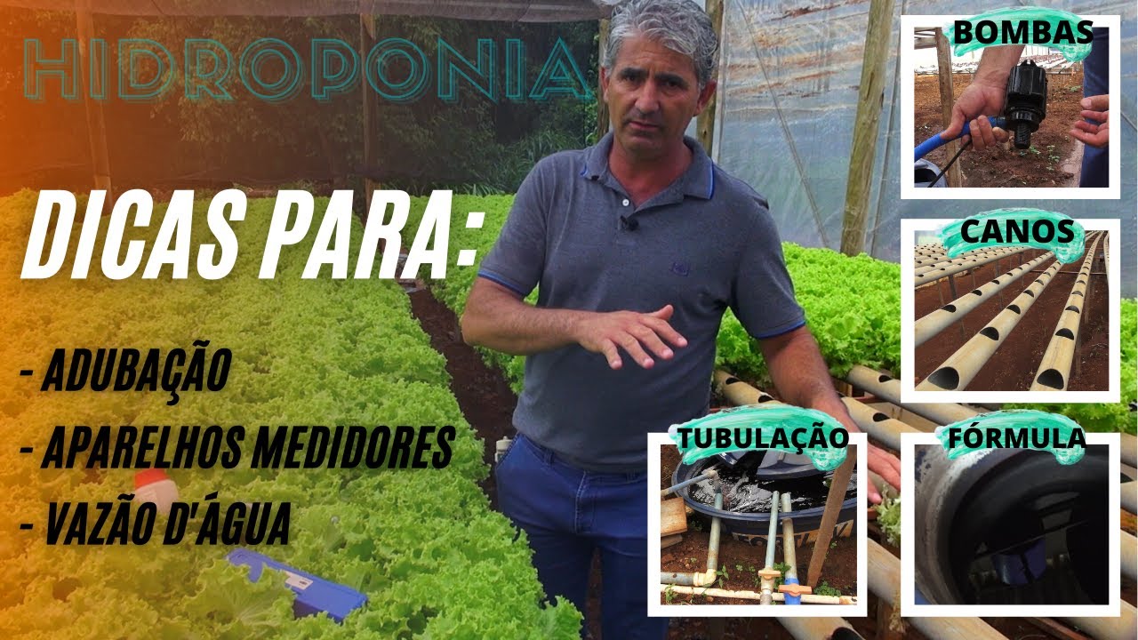 COMO PRODUZIR BEM E COM QUALIDADE NA HIDROPONIA?