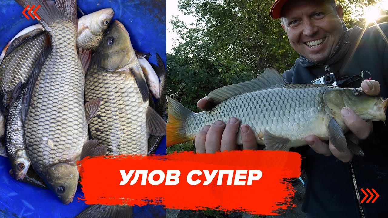 КАРАСИ И КАРПЫ СТАЛИ В ОЧЕРЕДЬ. Куча рыбы на одну удочку. Поплавок Супер снасть!
