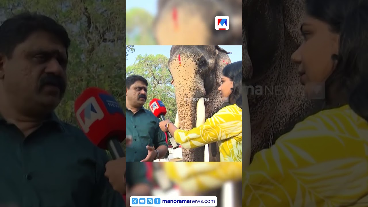 തെച്ചിക്കോട്ടുകാവ് രാമചന്ദ്രൻ തൃശൂർ പൂരത്തിന് എത്തും | Thrissur Pooram