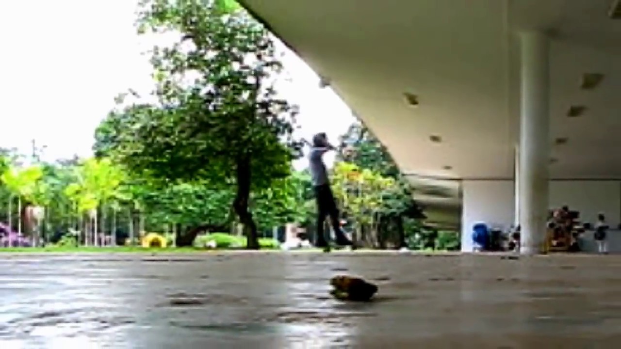 Rodrigo Takashi - Fakie 540 Bigflip / BigSpin Tailgrab