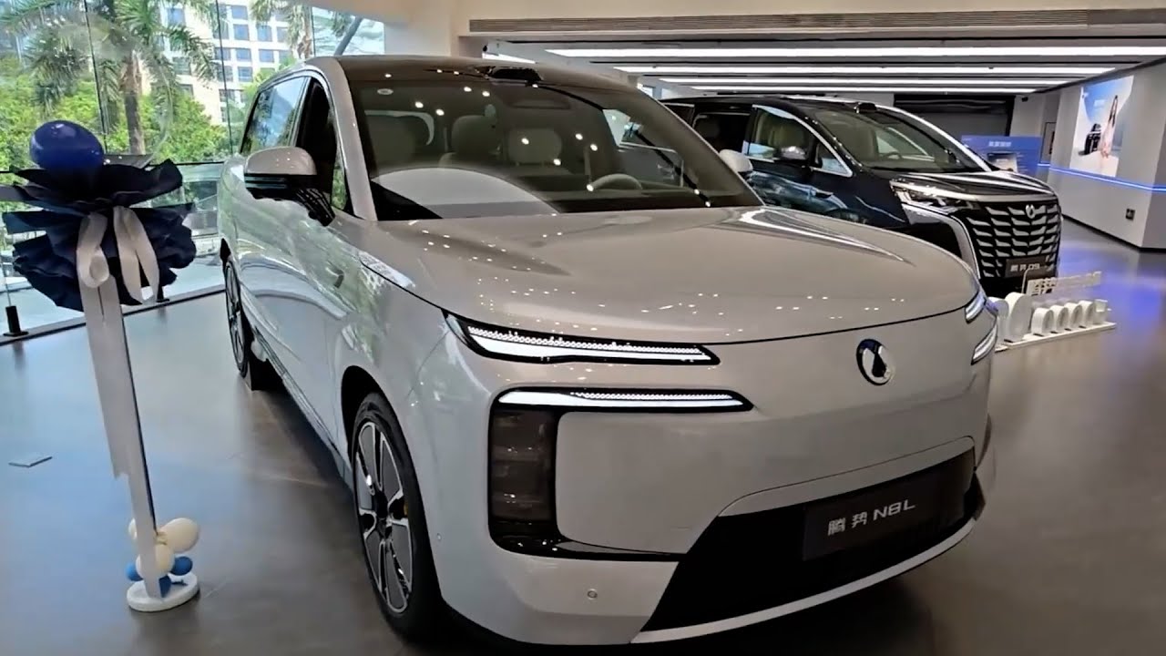 BYD Denza N8L Exterior and Interior