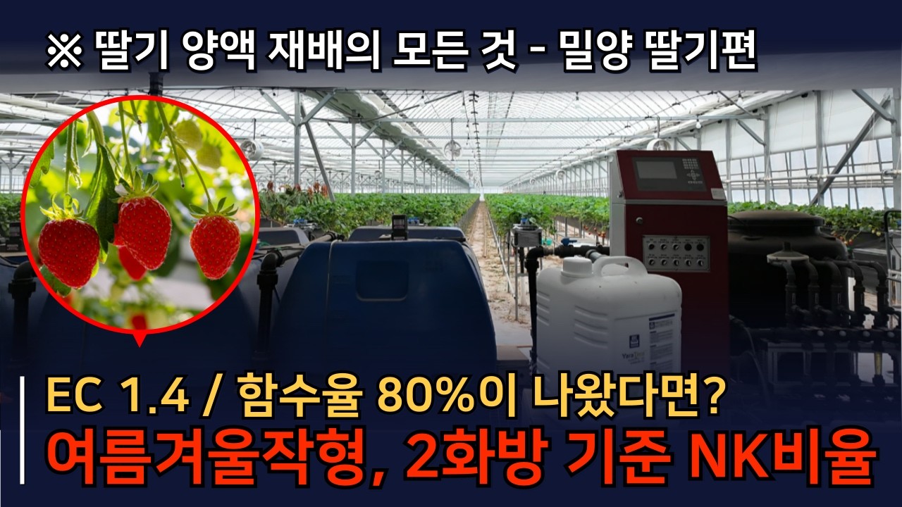 딸기 작형 및 시기별 양분 관리방법, 딸기 EC 관리의 중요성