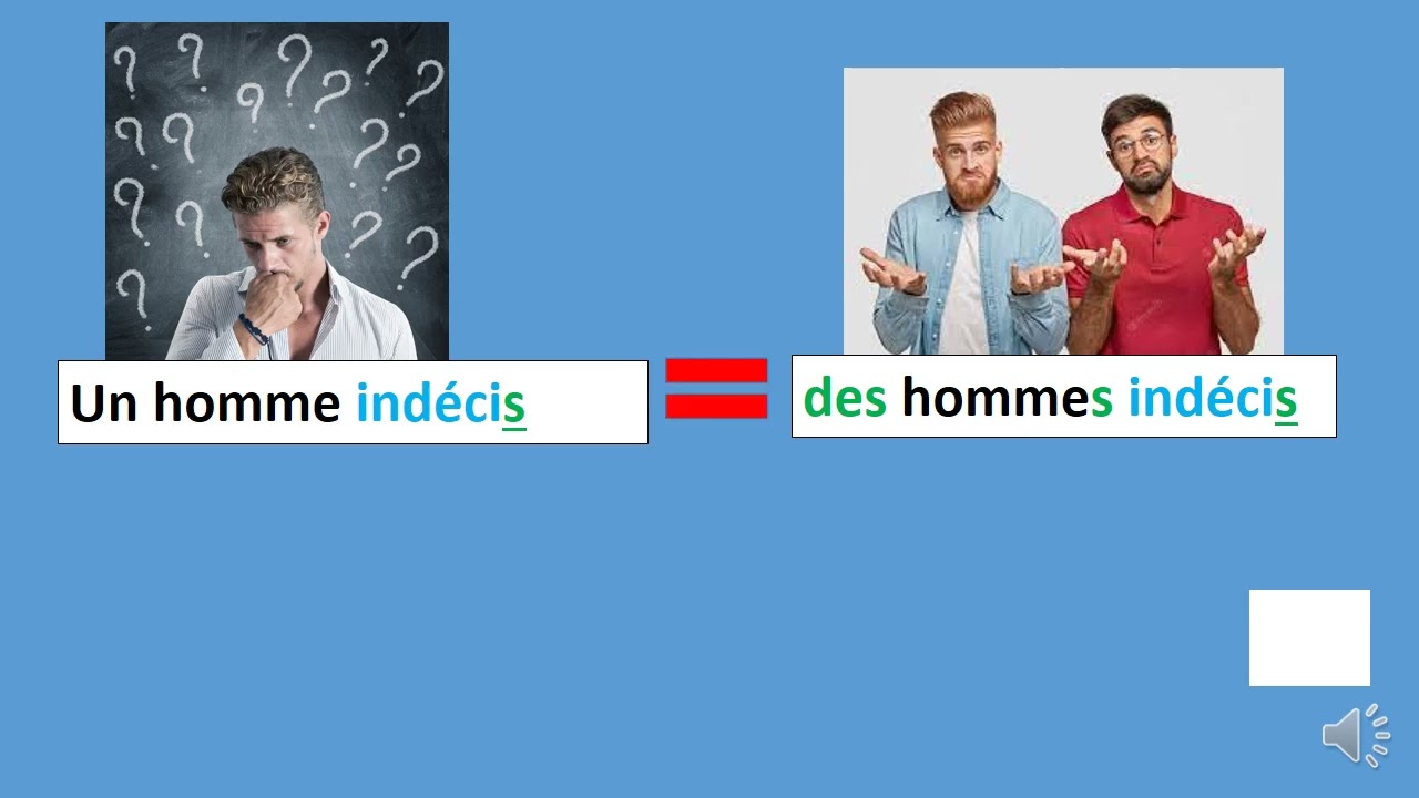Le pluriel des adjectifs