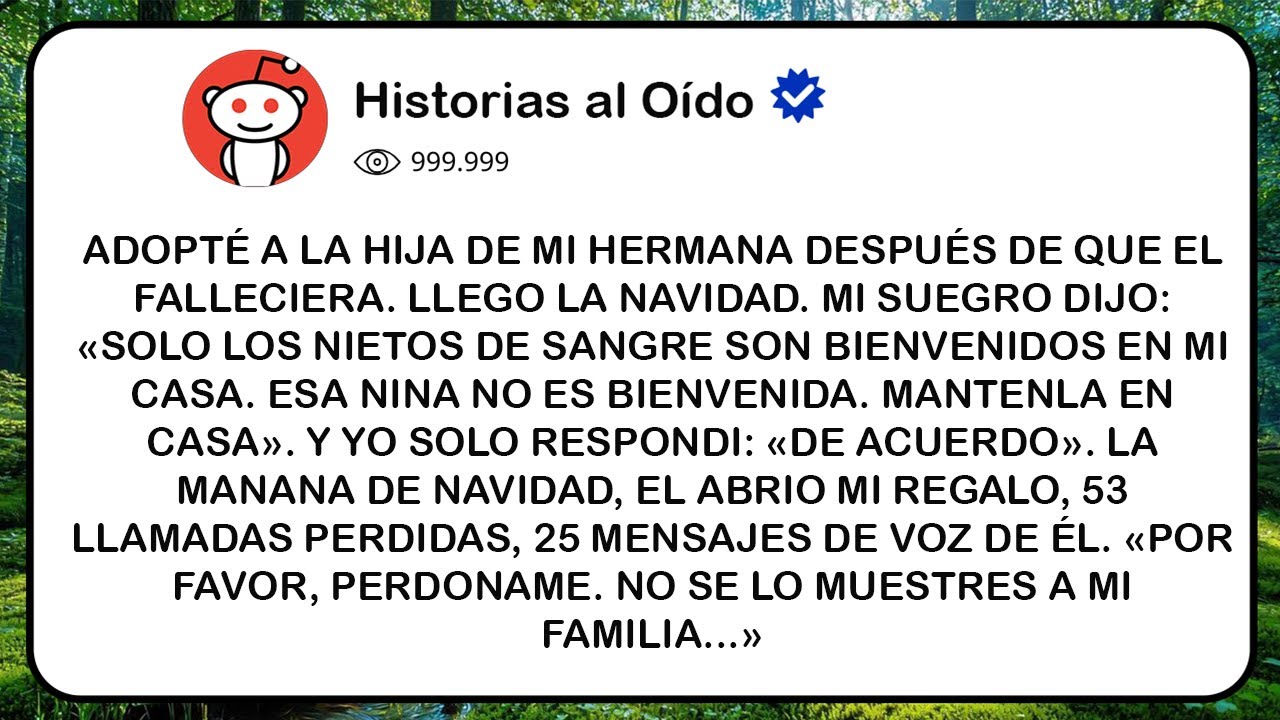 Adopté A La Hija De Mi Hermana Después De Que Él Falleciera  Llegó La Navidad  Mi Suegro Dijo  «So