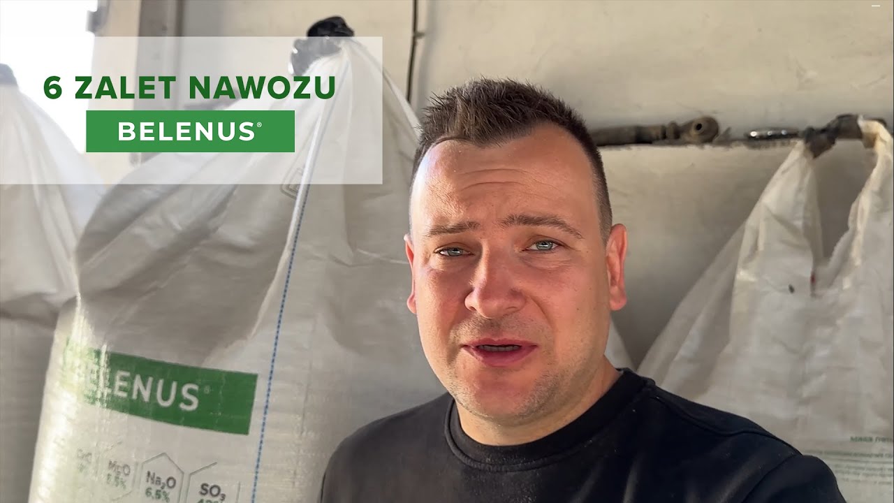 6 ZALET NAWOZU BELENUS
