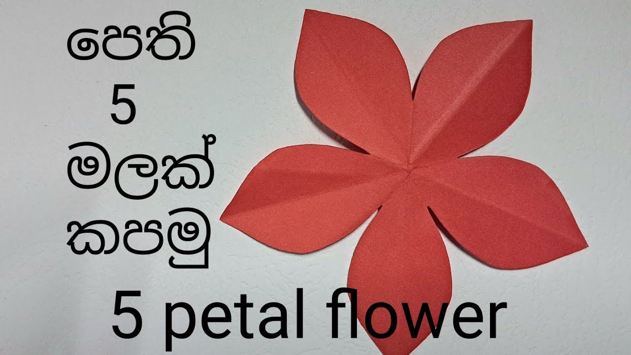 How to cut five petal paper flower / die five petal flower/  පෙති 5 මලක් කපමු/ 5 petal  flower