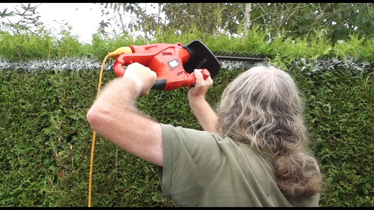 heg snoeien deel 3, zonder trap, met krijtverf spray