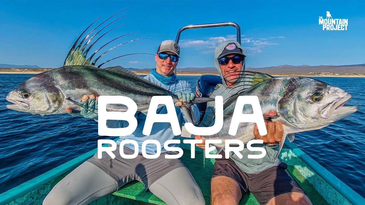 Flyfishing Baja Roosterfish