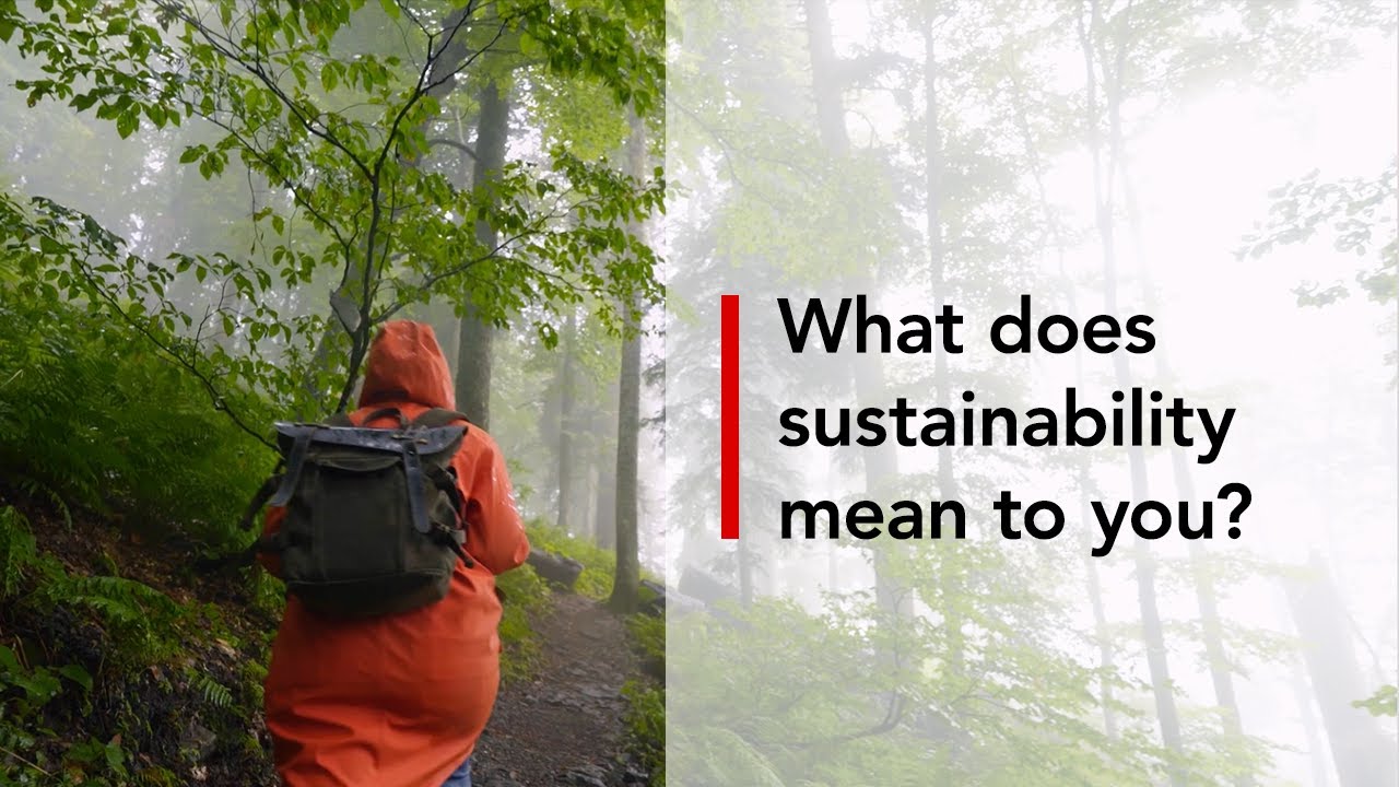What does sustainability mean to you?