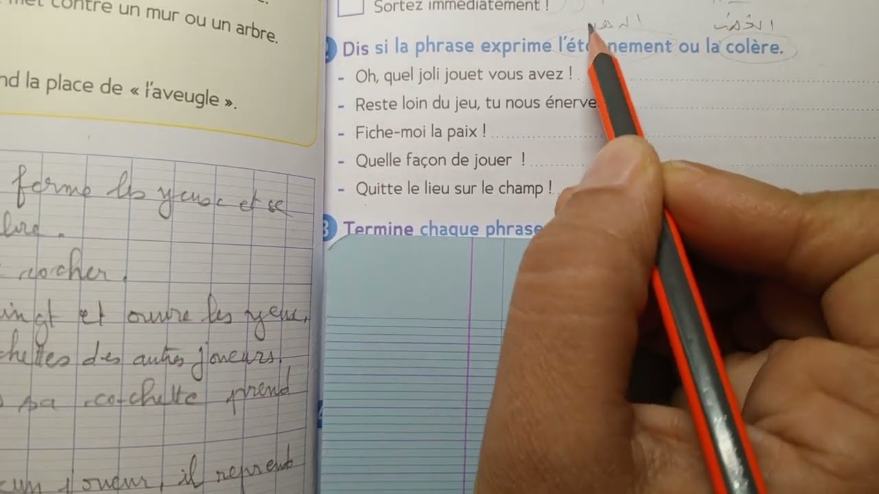 CE2: Grammaire : La phrase exclamative page 29 cahier d' activités Le trésor des mots.