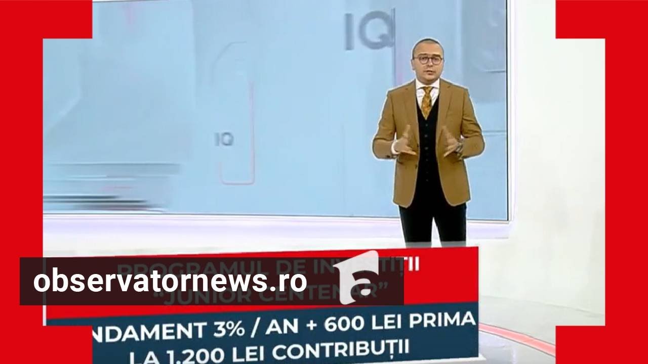 Dezavantajele programului 