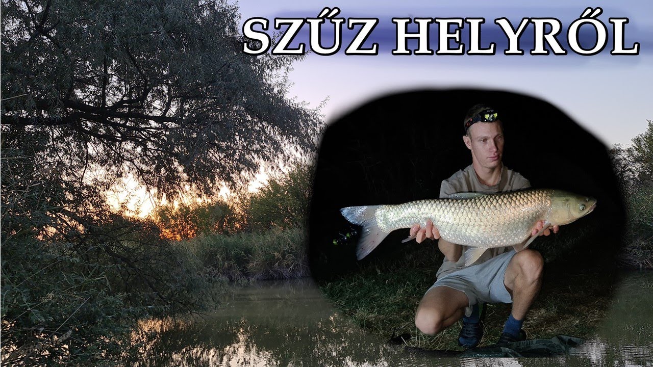 Rapid csatorna horg&aacute;szat - Őszi amuroz&aacute;s
