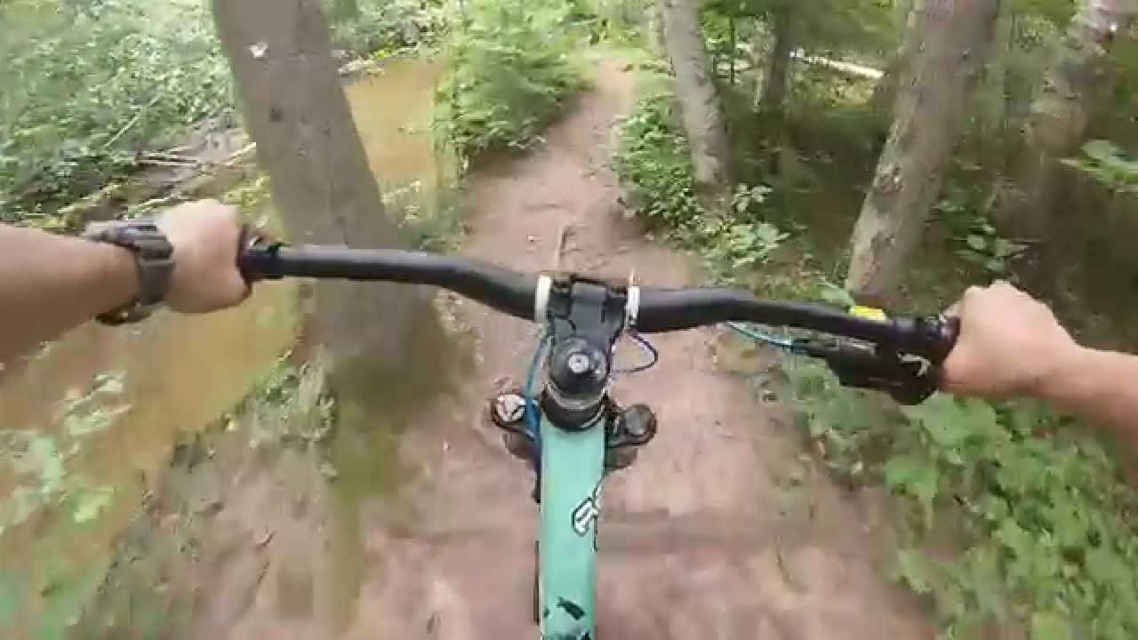 Giant Reign sx