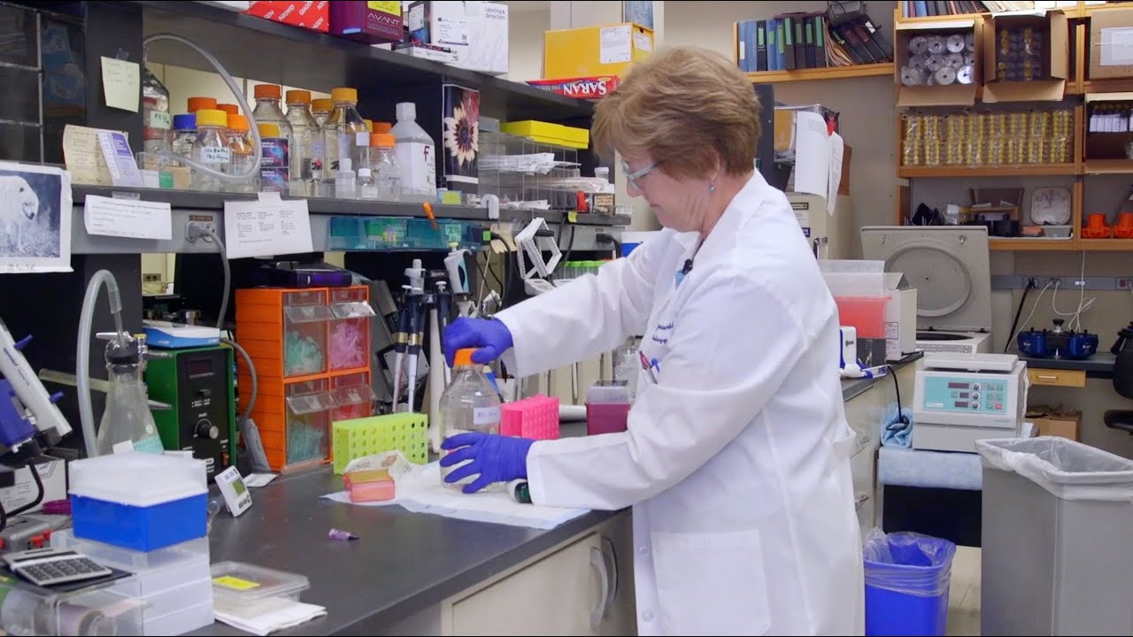 Scientists Discover How Cells Defend Themselves Using Our Hidden Immune Arsenal