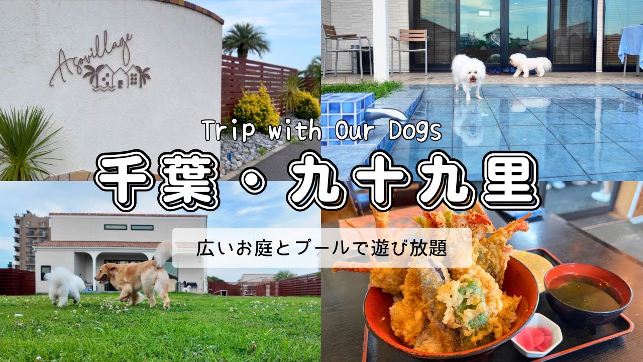 【愛犬と九十九里】広いお庭とプール付きのお部屋