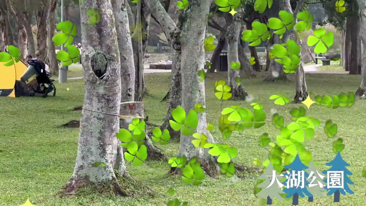 #大湖公園DA HU PARK#落羽松#Taipei#Taiwan/2025冬