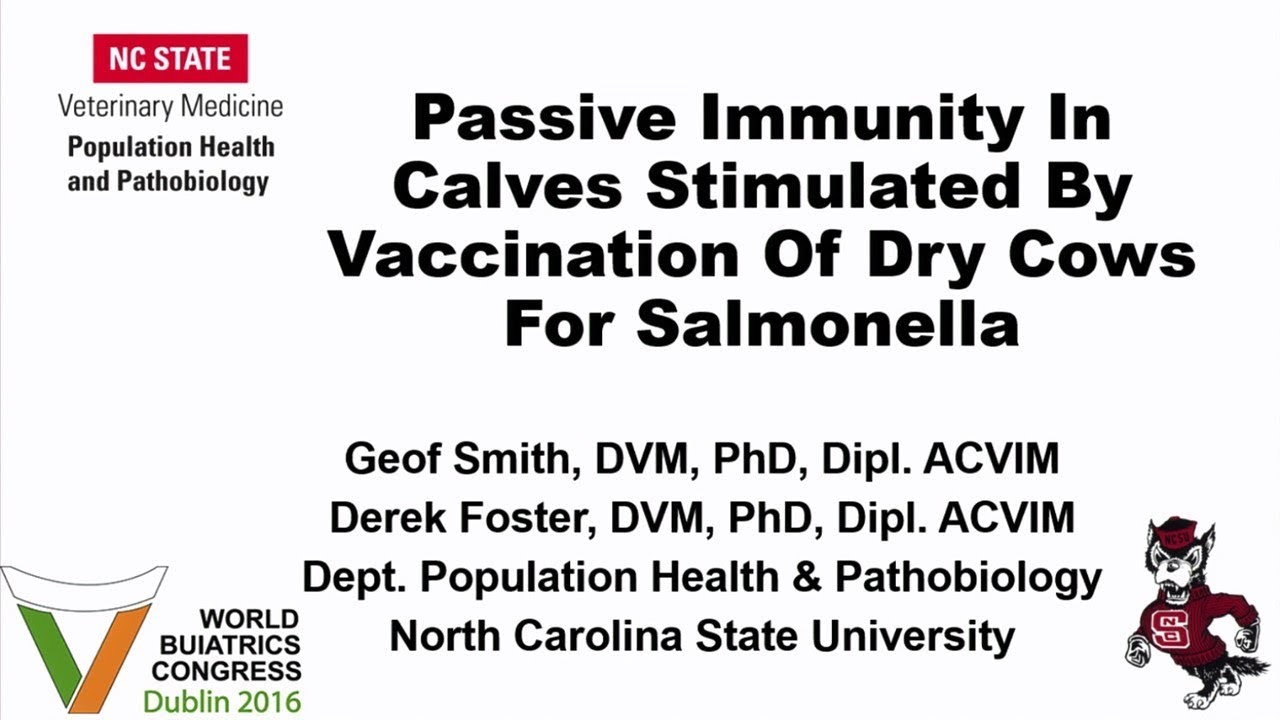 Passive Immunity In Calves Stimulated By Vaccination Of Dry Cows For Salmonella