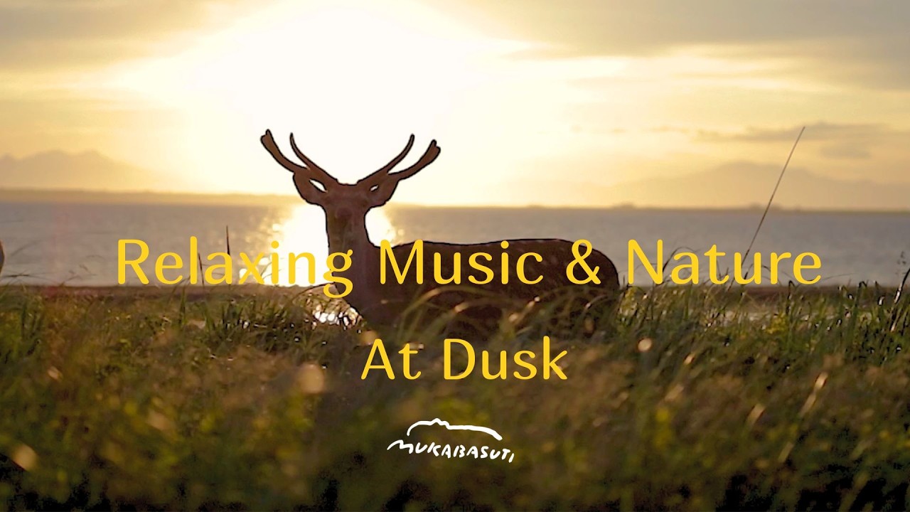 Relaxing Music & Nature / At Dusk