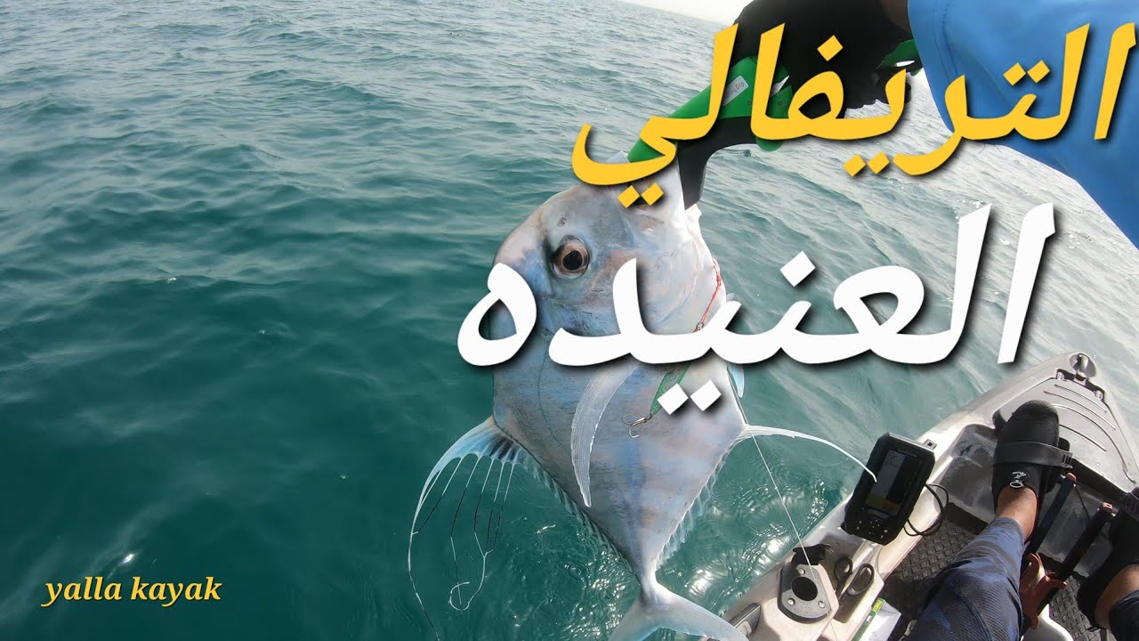 kayak fishing on deep sea طلعت صيد ممتعه #fishing #kayakfishing #صيد #kayak #بحر #سمك #trevally