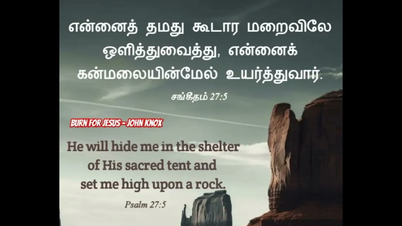 பிரான்சிஸ் சேவியர் என்ற புனித சவேரியாரின் வாழ்க்கை வரலாறு 