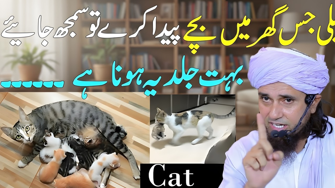Billi Ghar Mein Bachay Paida Kare To Kya Hota Hai | Mufti Tariq Masood Bayan