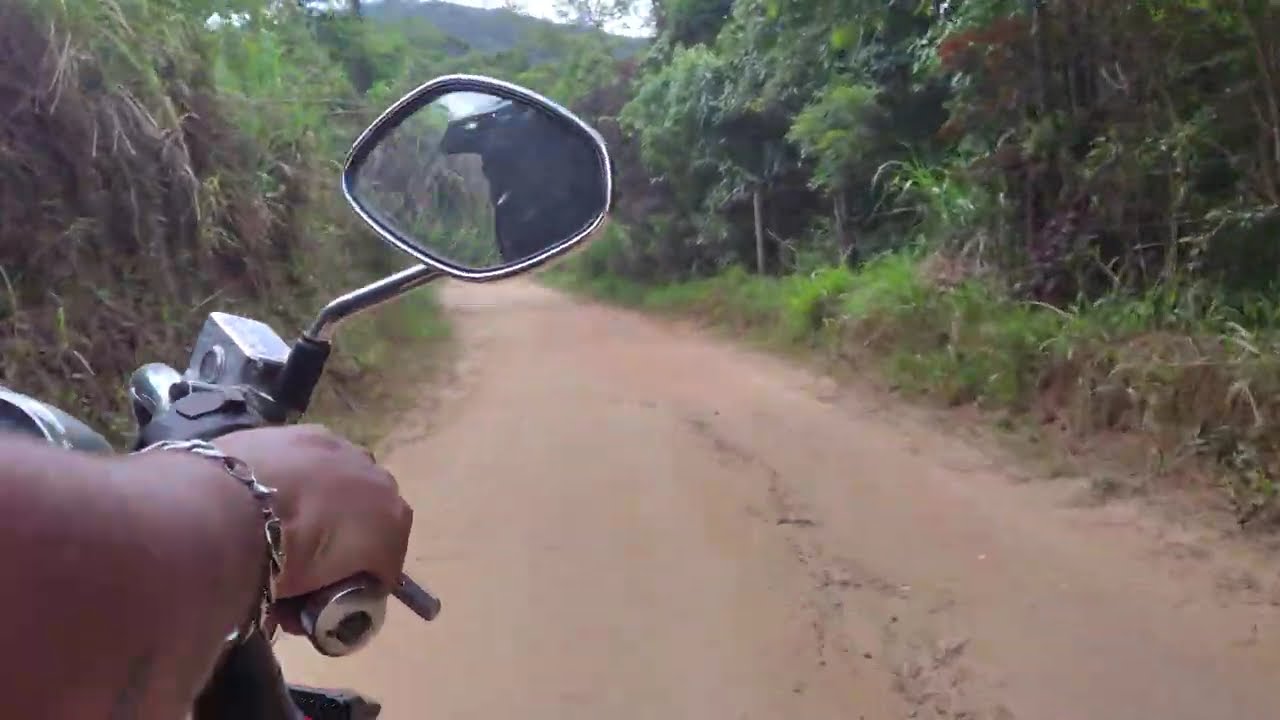 29/53  Viagem com #MolotovMC ( 18.02.26 )