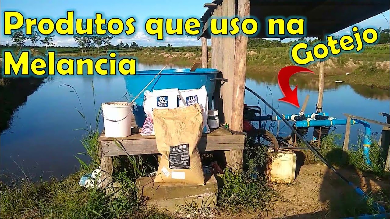 FERTIRRIGAÇÃO NA LAVOURA DE MELANCIA | PORQUE USAR E SE VALE PENA?! COMO FAZER |