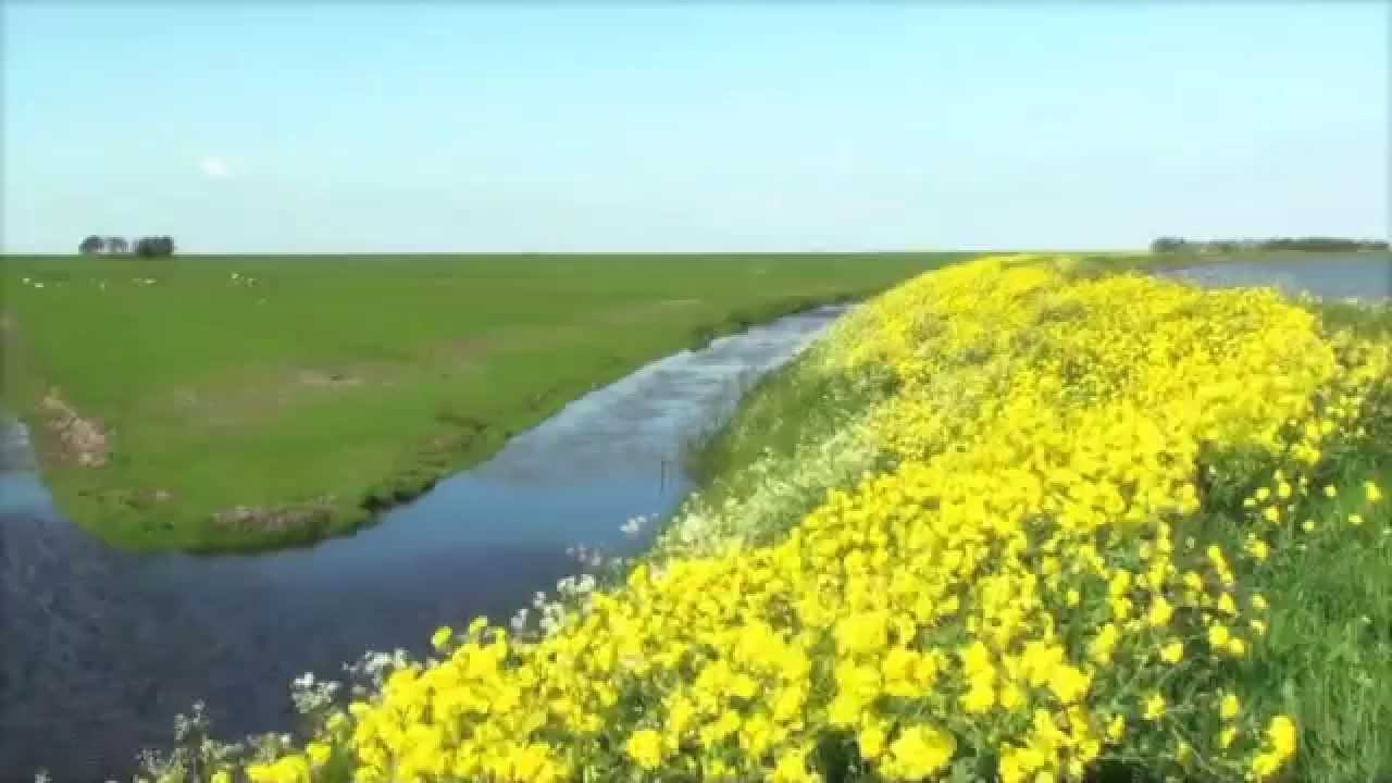 Marken Schiereiland 2010
