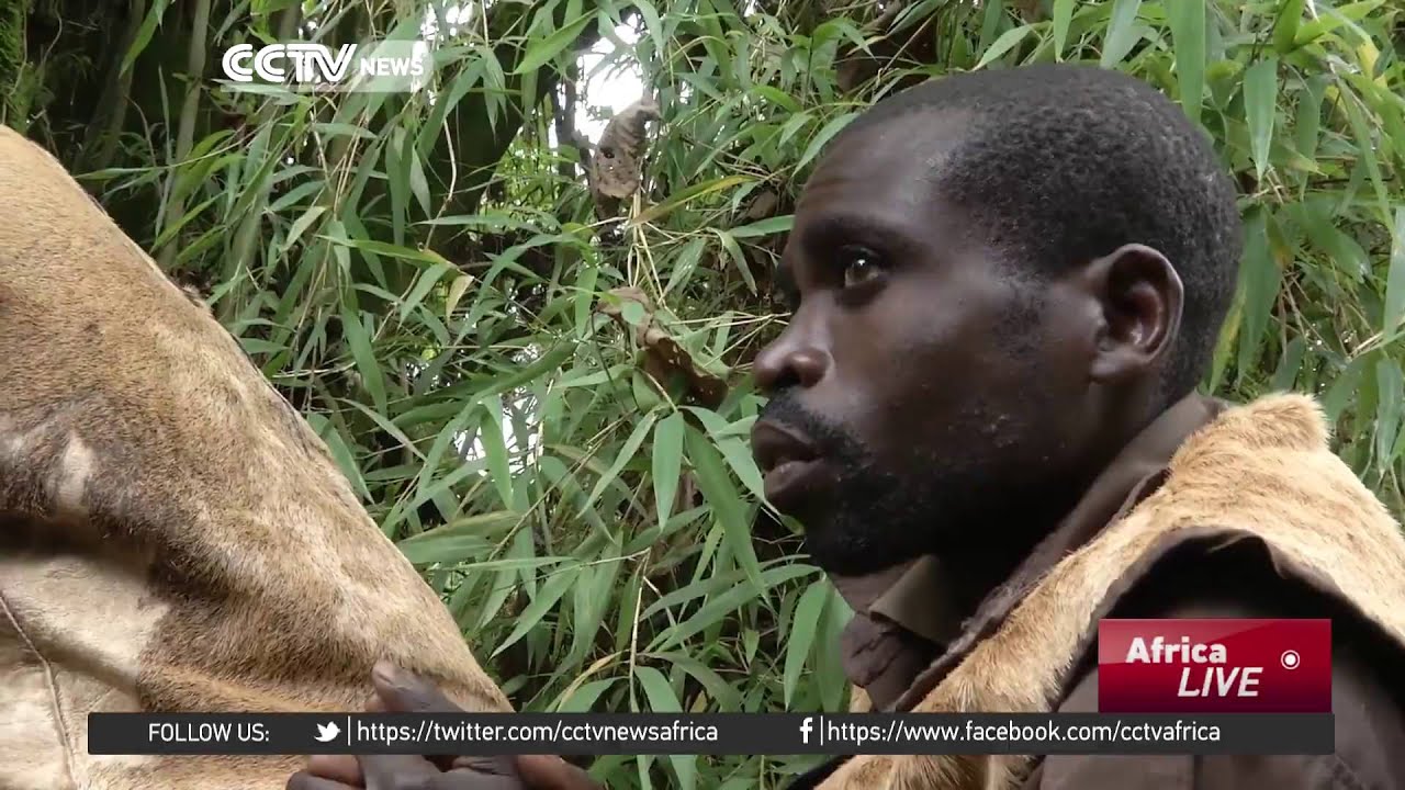 One of Africa's oldest ethnicities, Batwa, battles extinction.