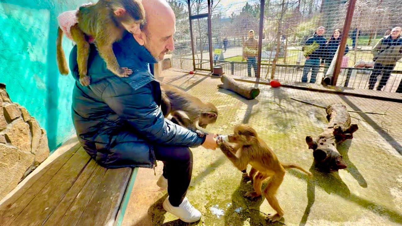 У Влада целый СПА САЛОН! Люська , Степа , Маня и Анфиса создают ему имидж❤️