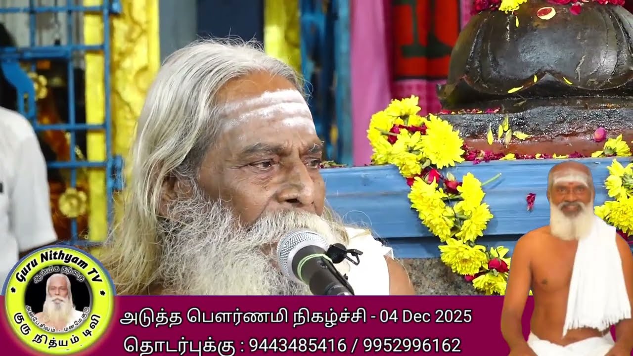 17 November 2025