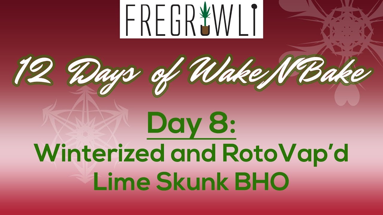 8th Day of WakeNBake: Winterized and RotoVap'd Lime Skunk BHO