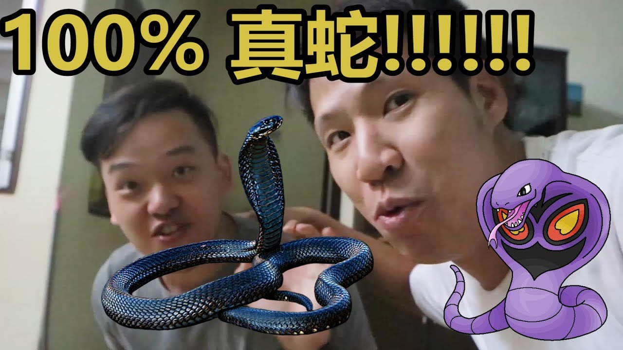 ADVENTURES WITH DENNIS AND PANG - 眼睛蛇出现在我家 COBRA & BOMBA (不需要感叹号)