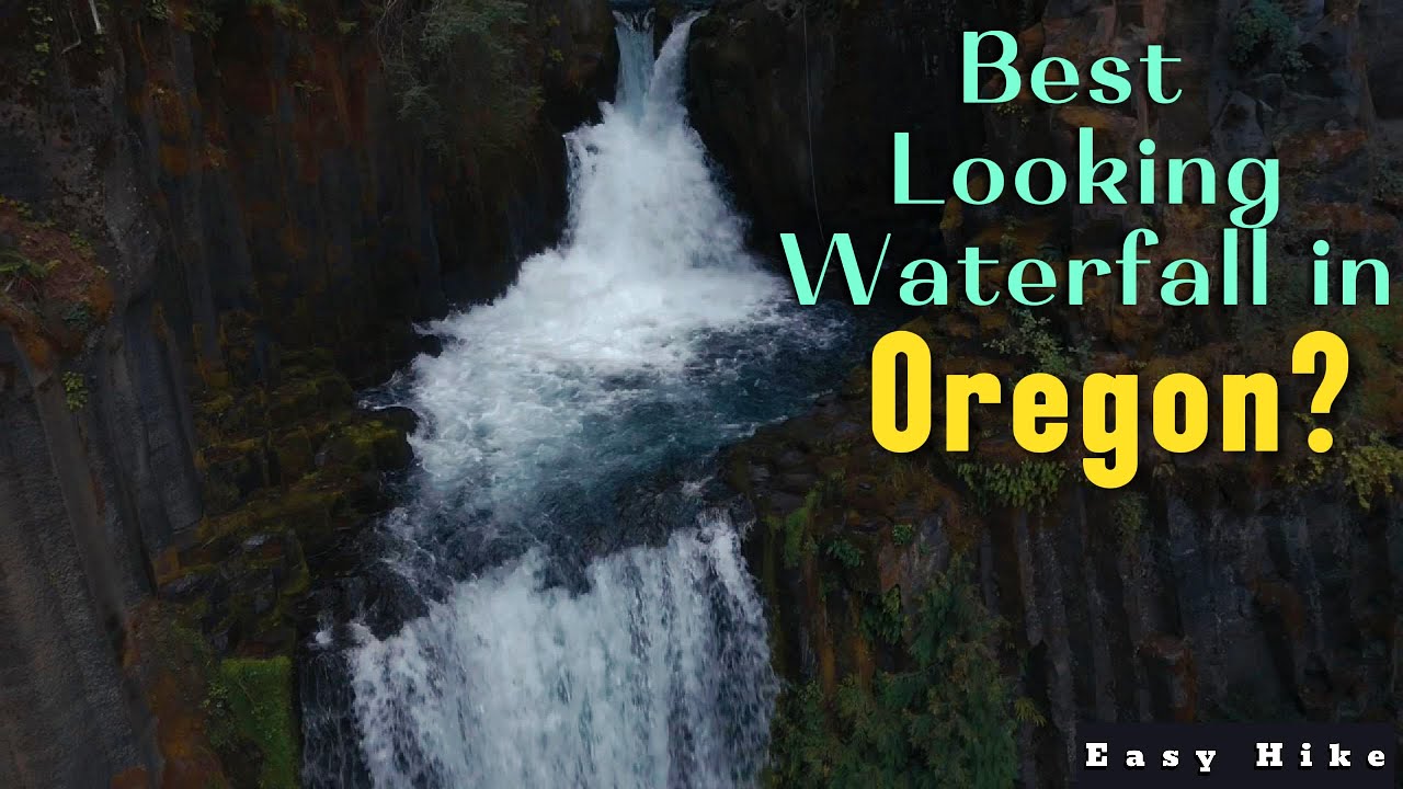 Toketee Falls hike | Easy hiking followed by BEHIND the curtain look!!!