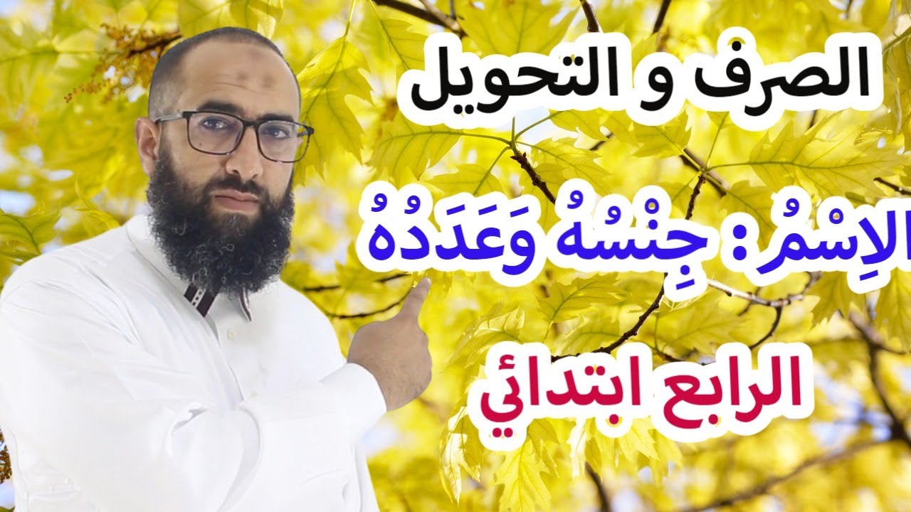 الاسم - الجنس والعدد -  