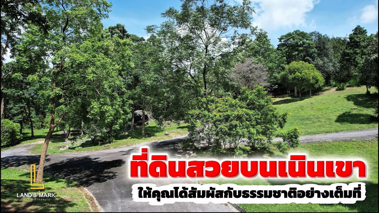 EP312: ที่ดินสวยบนเนินเขา วิวเขาล้อมรอบ ท่ามกลางอ้อมกอดของขุนเขาใหญ่ ขนาด 25 ไร่ พร้อมที่งอก 8 ไร่