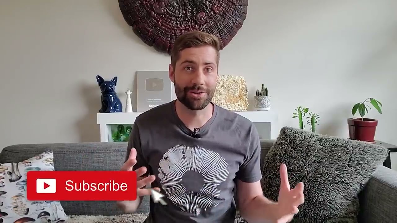 Лекарственные грибы 101: что это такое и почему они так полезны