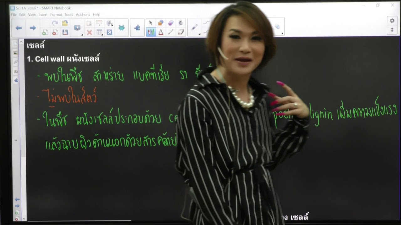Sci 1A ชีววิทยาพืช 2561 อ.บิ๊ก A.BIG CENTER