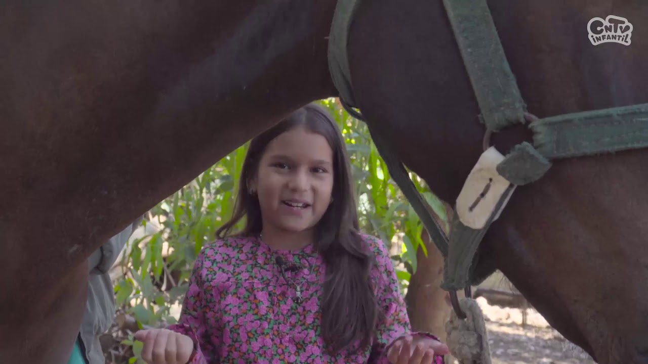 Veterinario: explicado para niños | Y tú ¿en qué trabajas?