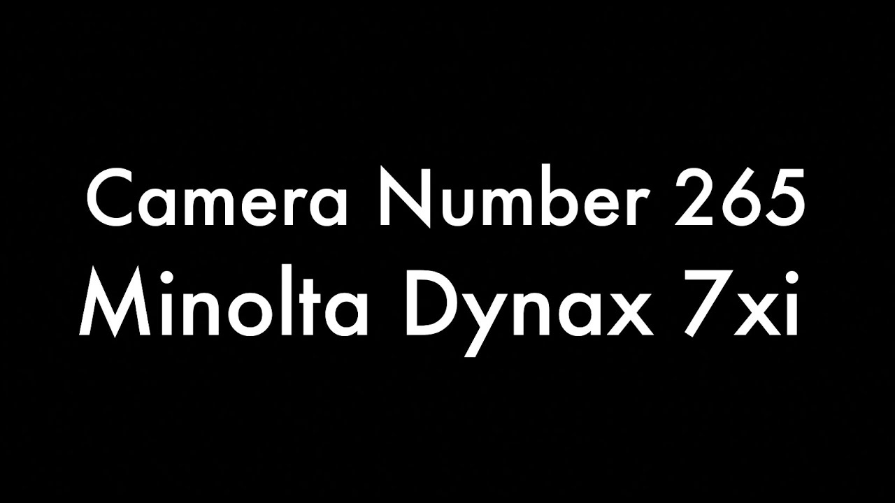 Проект «365 камер» — камера № 265 Minolta Dynax 7xi