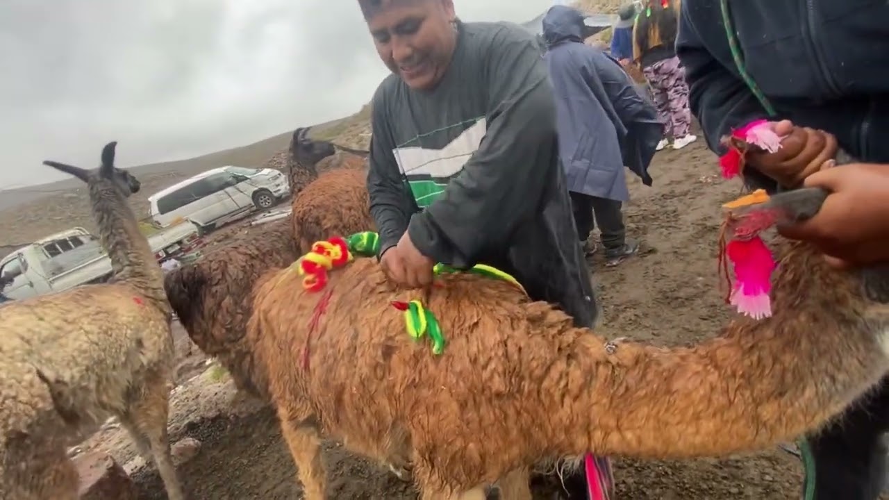 Un recuerdo de mi Pueblo de Parcohaylla🇨🇱Huayno 2026 