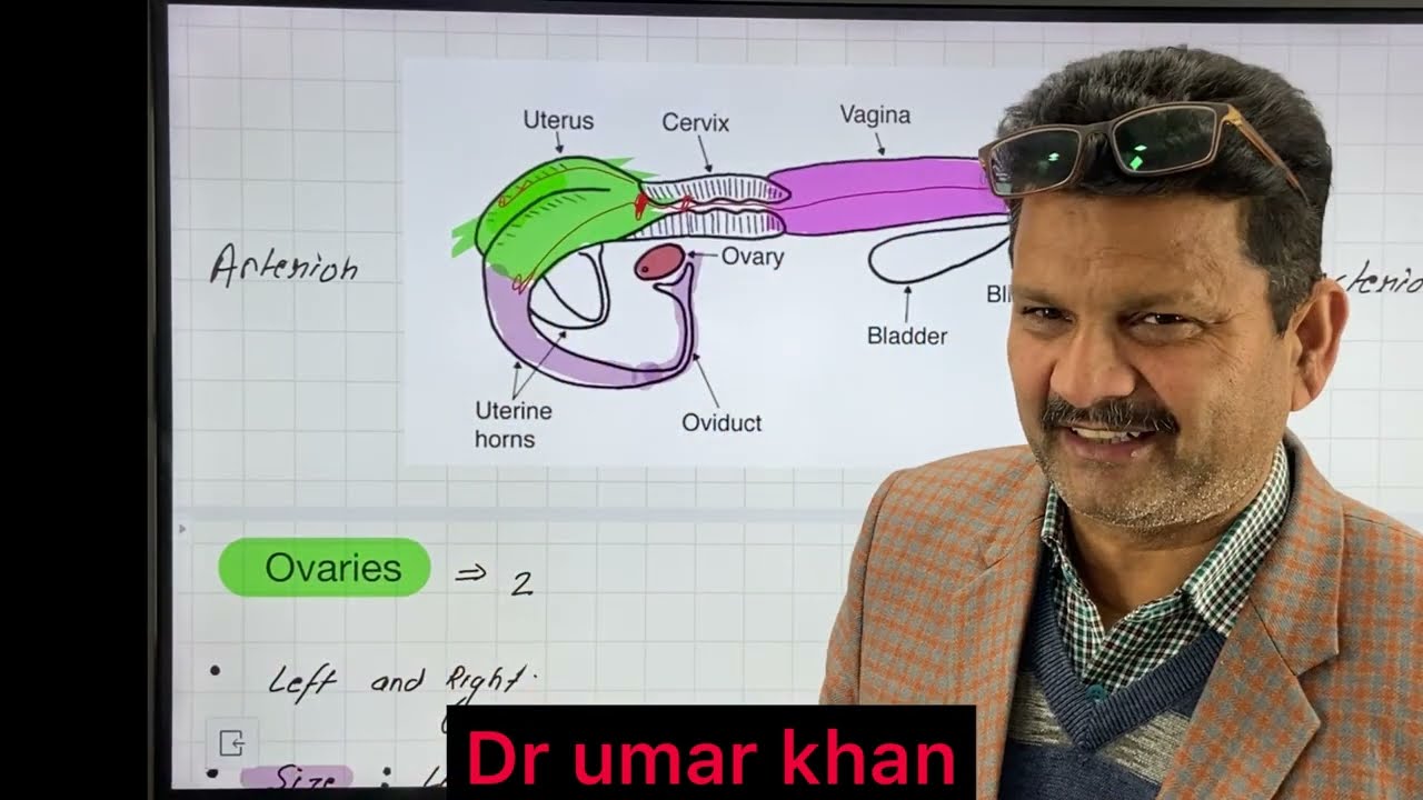 Artificial insemination l कृत्रिम गर्भाधान l Dr Umar Khan
