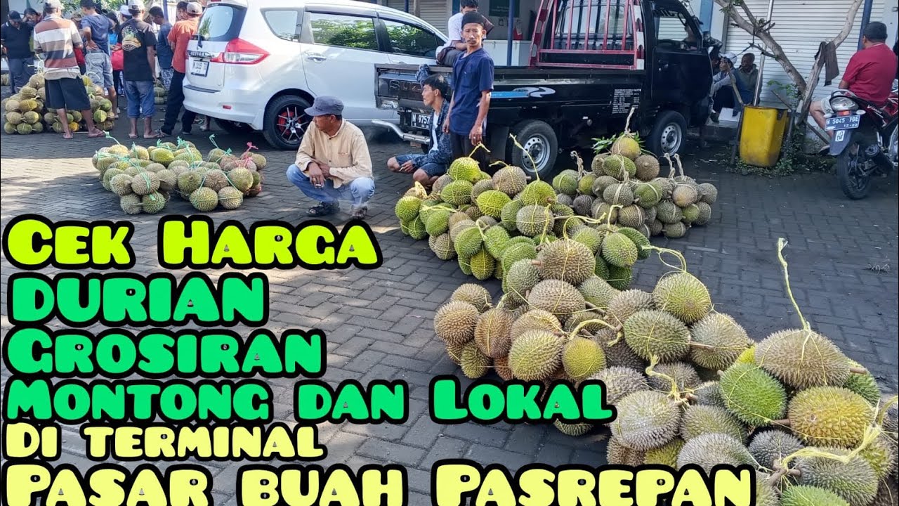 IniLah PASAR DURIAN di terminal pasar buah Pasrepan kabupaten Pasuruan Jawa Timur 